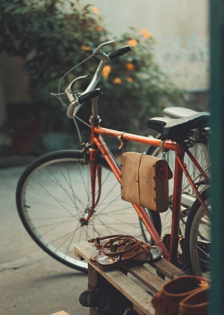 vintage photograph, bicycle, backyard